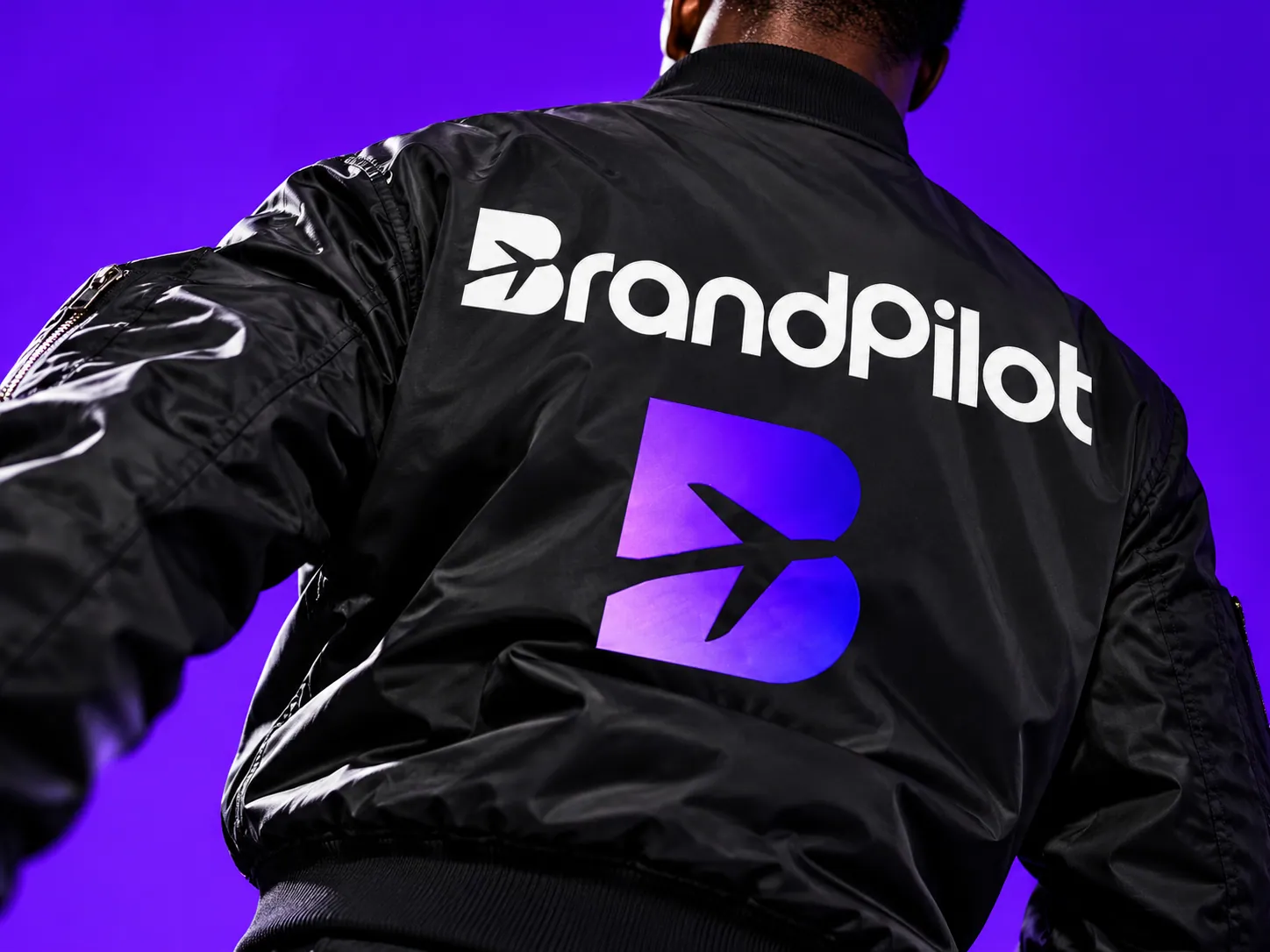 BrandPilot brand application 1
