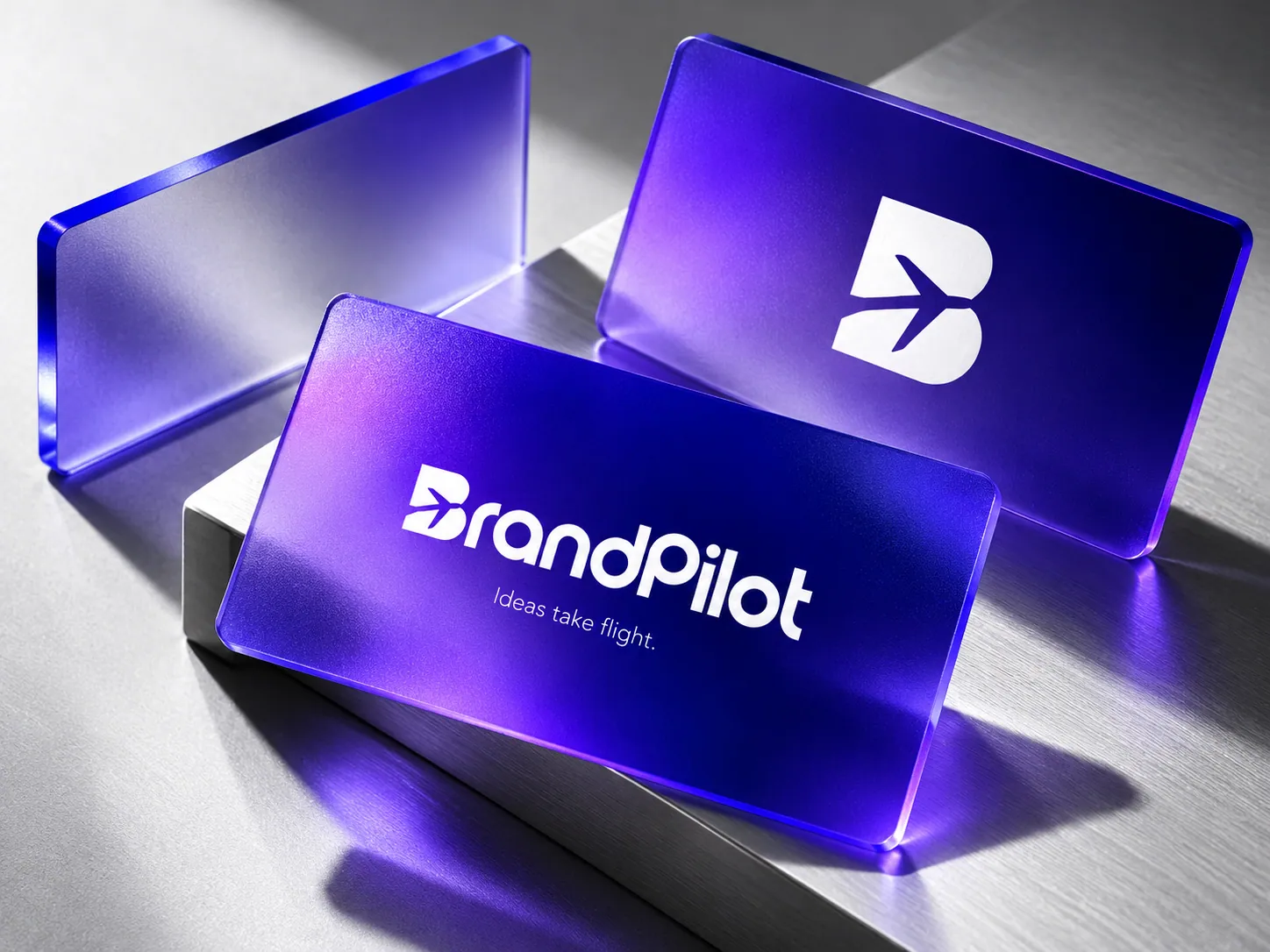 BrandPilot brand application 10