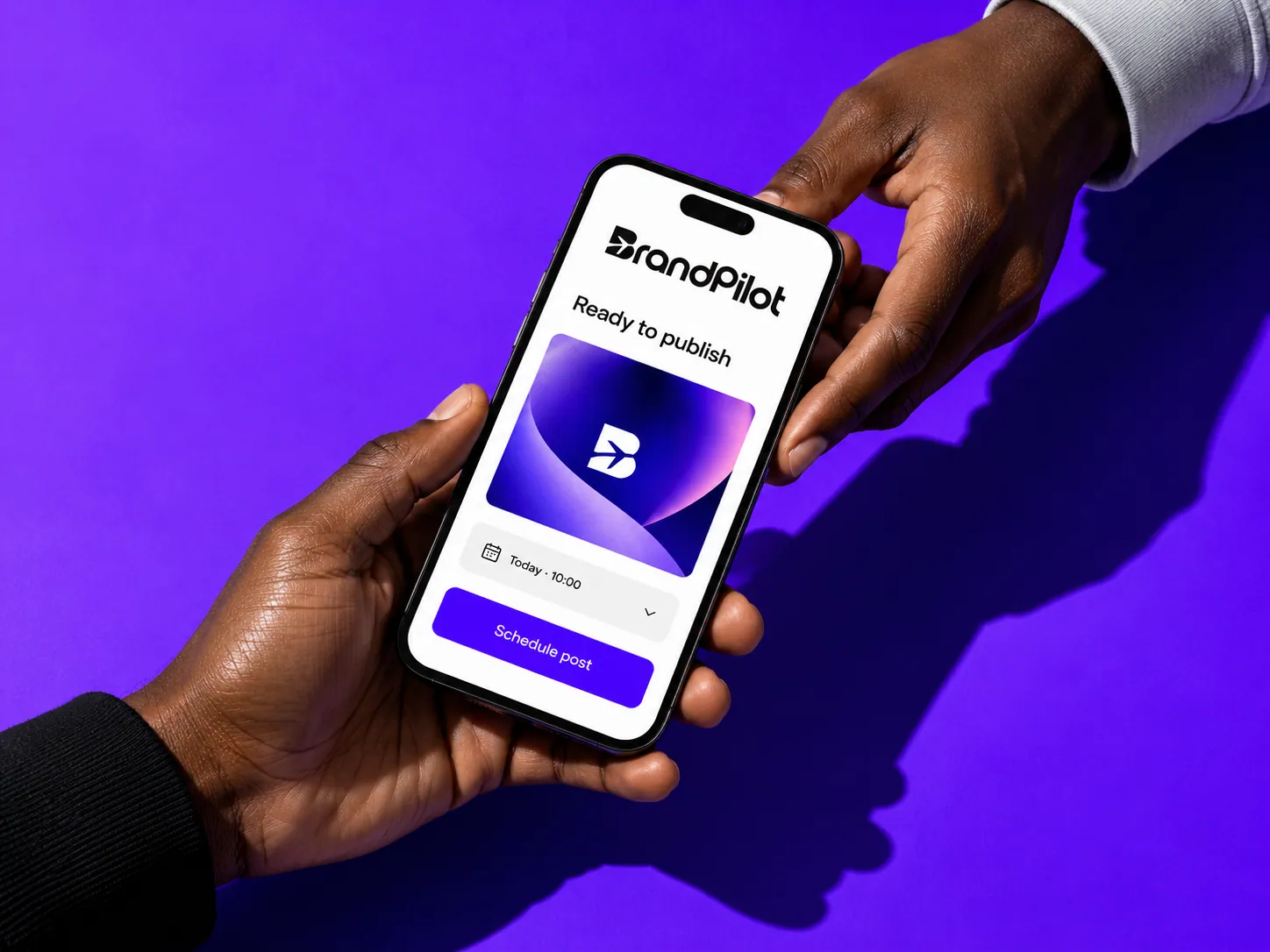 BrandPilot brand application 12