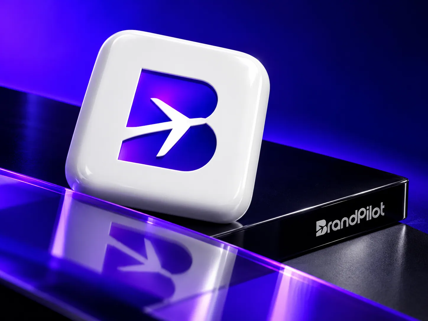 BrandPilot brand application 15