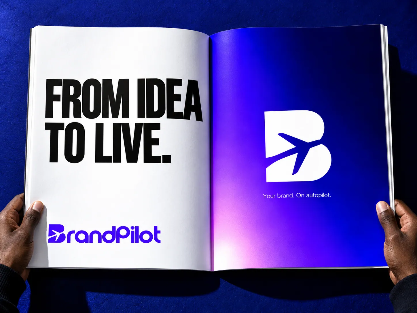 BrandPilot brand application 17